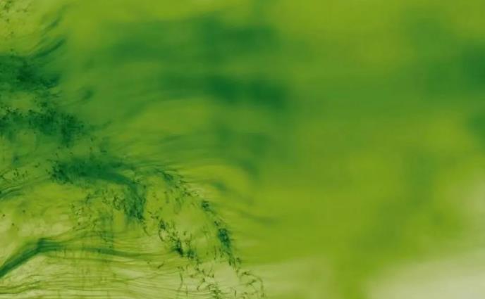 1656579511165845.jpg 截图1656579335.jpg