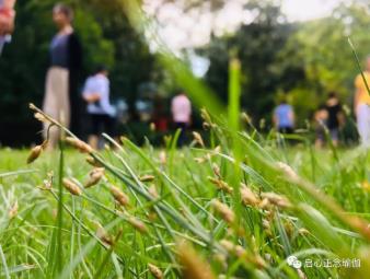 1656579842132961.jpg 截图1656579758.jpg